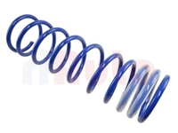 Fahrwerksfeder hinten