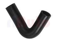 Kühlerschlauch unten