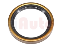 Simmerring Kurbelwelle hinten